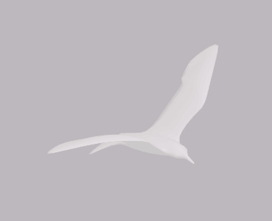 Bird 1