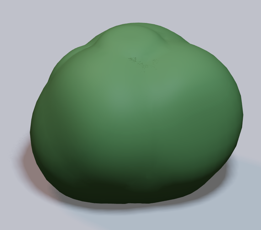 Bush 2
