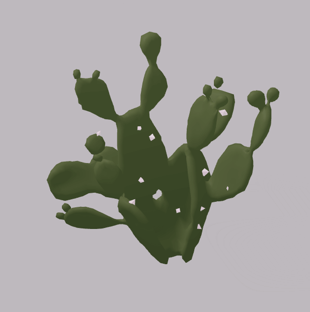 Cactus