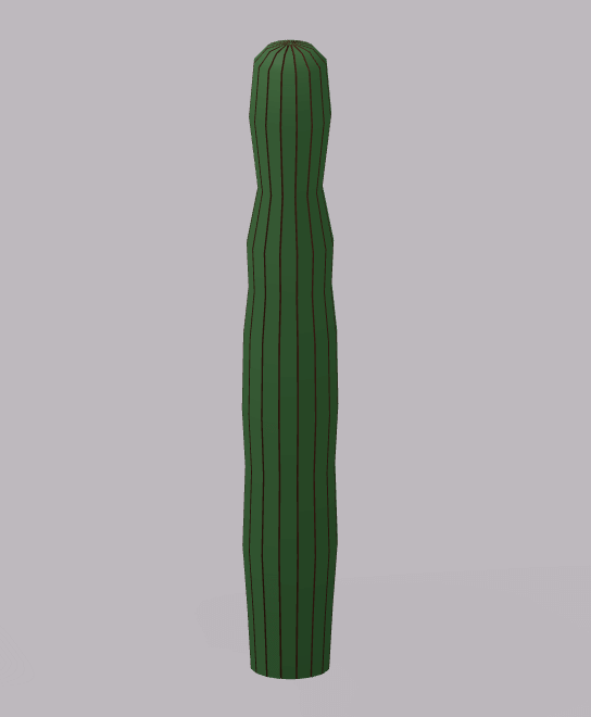 Cactus 2