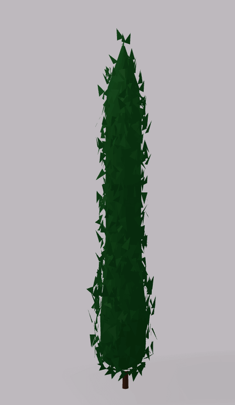 Cyprus Tree