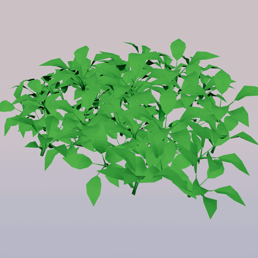 Flower 11