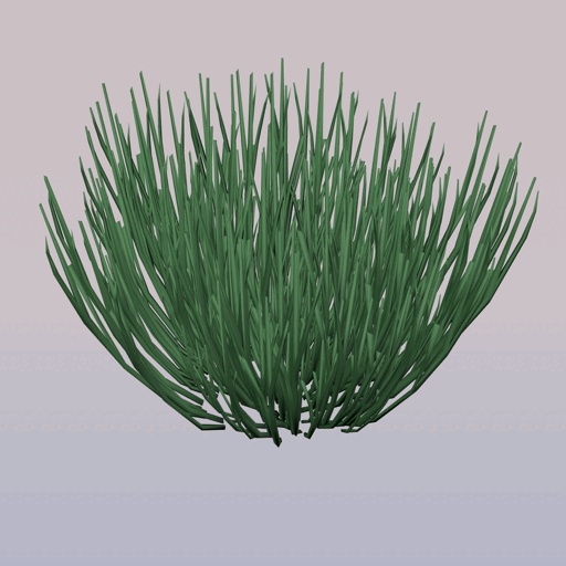 Flower 6
