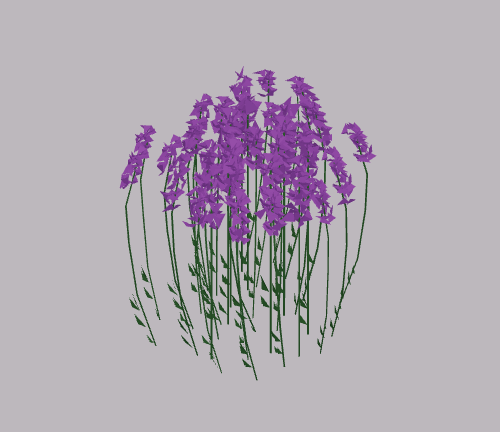 Lavender mid
