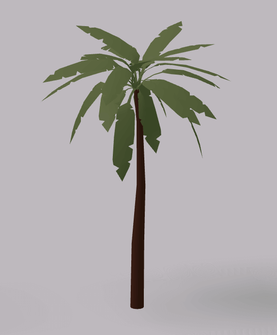 Palm Tree