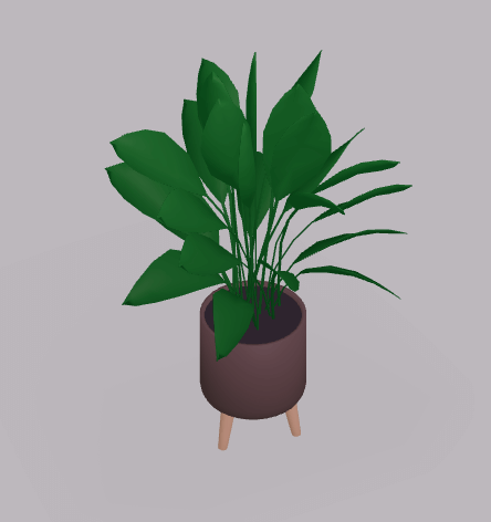 Plant 8