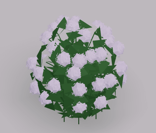 Shrub big