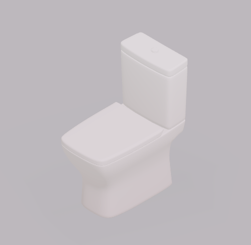 Toilet 1