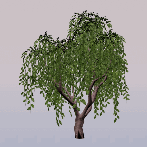 Tree 11