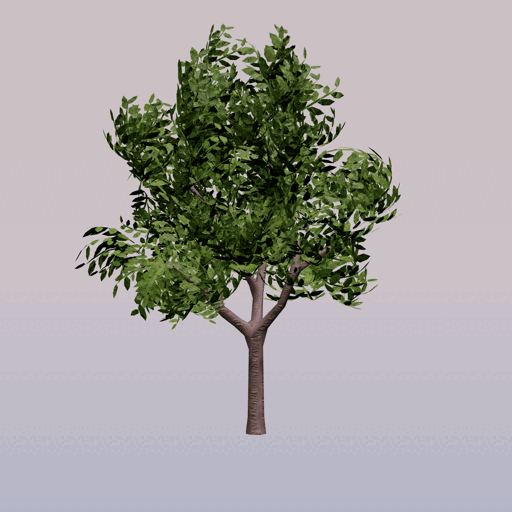 Tree 7