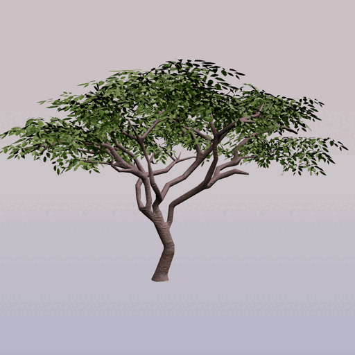 Tree 8
