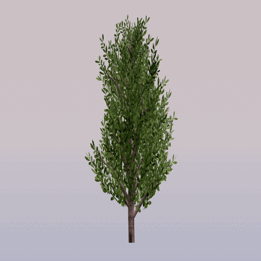 Tree 9