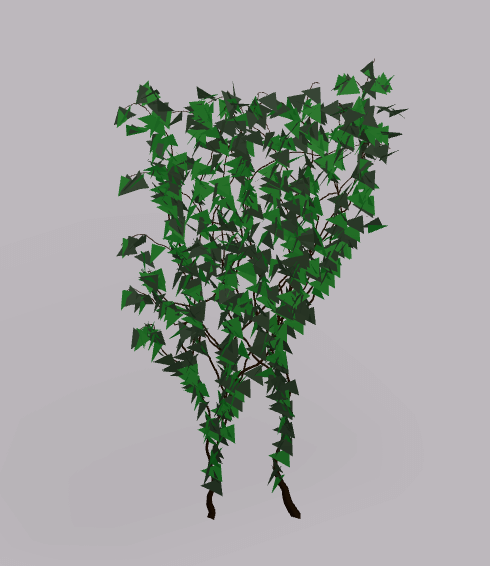 Wall plant ivy