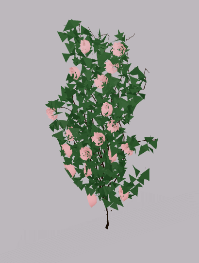 Wall plant roses